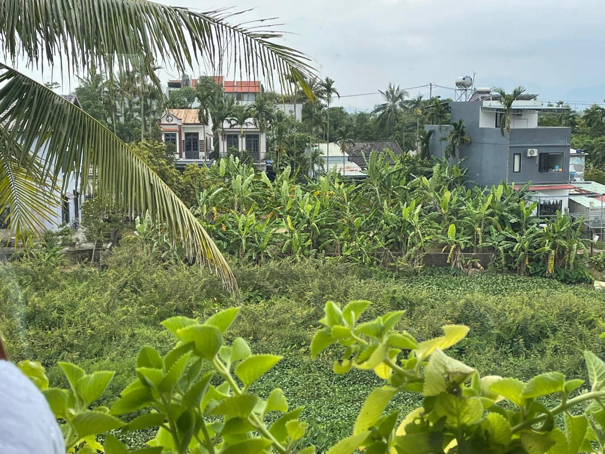 Hoi An Ti Hon House Villa Luaran gambar